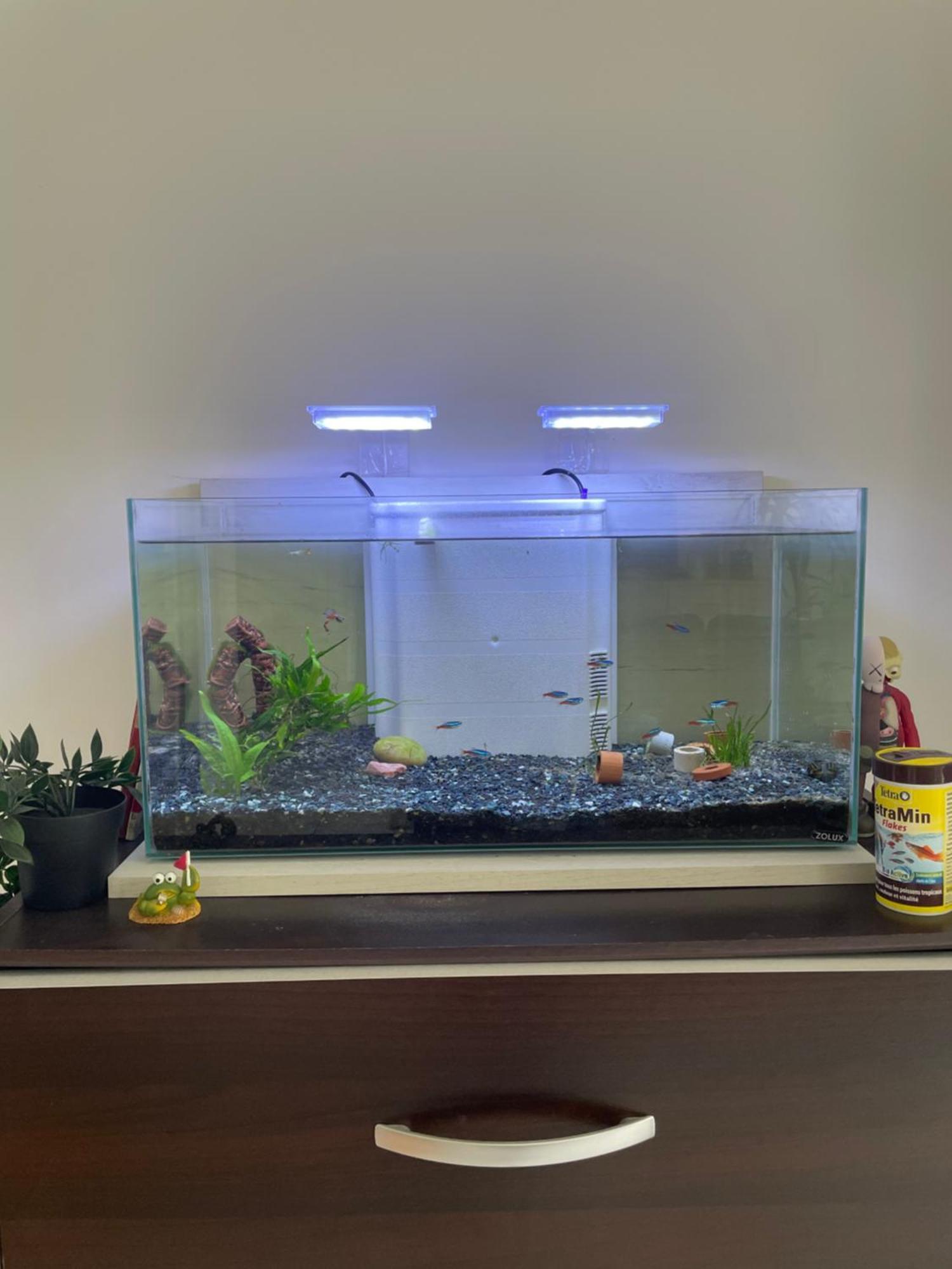 Saint-André-de-Cubzac Appartement De Luca מראה חיצוני תמונה